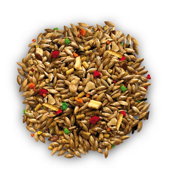 Animalin Mix Canarini Plus Più 1000 g