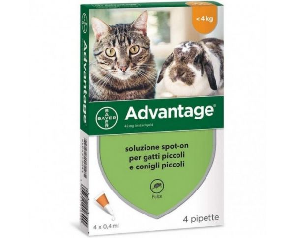 Bayer Gatto Advantage 40 4 Pipette