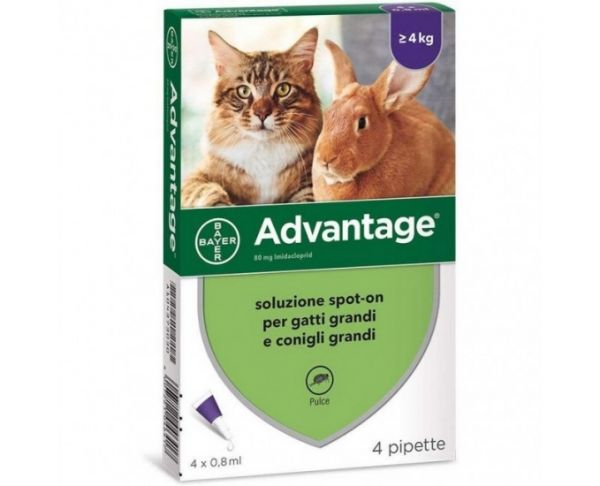 Bayer Gatto Advantage 80 4 Pipette