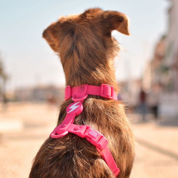 Dashi Back Harness Pettorina per cane modello COLORFLEX Pink small