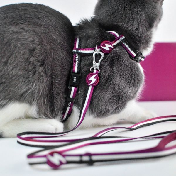 Dashi Cat Harness + Leash Pettorina e guinzaglio per gatto modello STRIPES Purple e Black