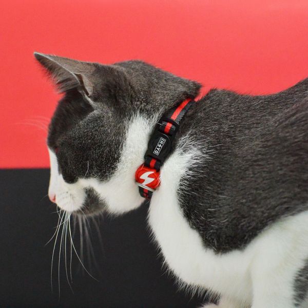 Dashi Cat Harness + Leash Pettorina e guinzaglio per gatto modello STRIPES Red e Black
