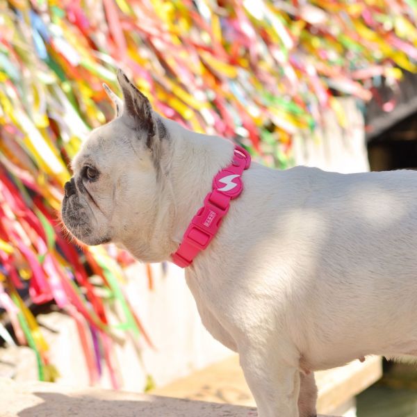 Dashi collari per cane modello COLORFLEX Pink small