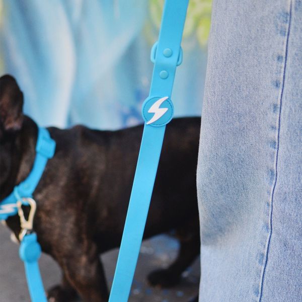 Dashi Leash Guinzagli per cane modello COLORFLEX Blue small