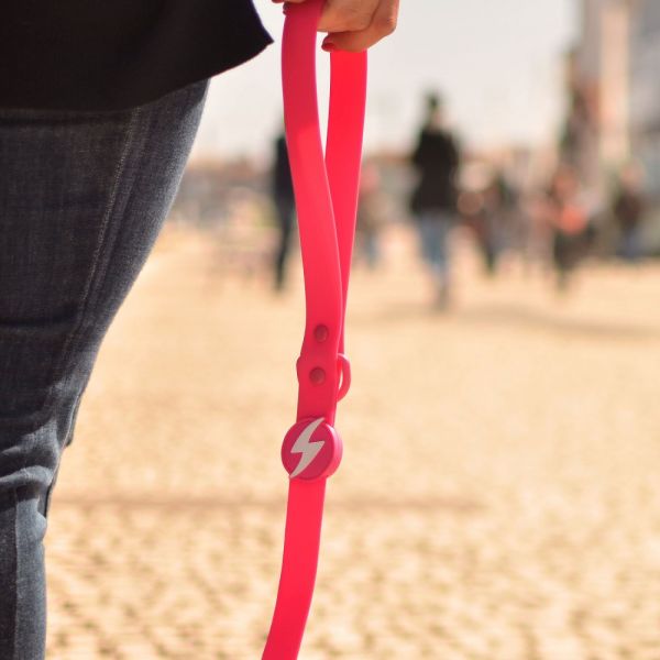 Dashi Leash Guinzagli per cane modello COLORFLEX Pink small