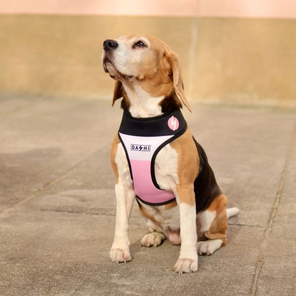 Dashi Neo Mesh Pettorina per cane modello STRIPESSPink e Black small