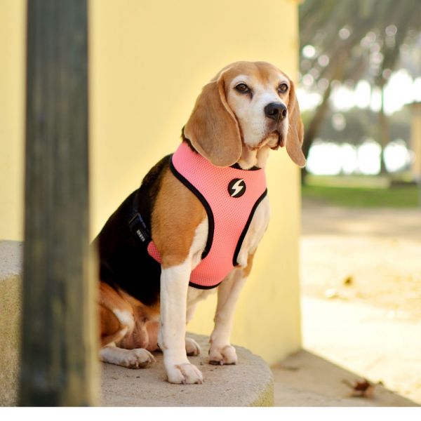 Dashi Neo Mesh Pettorina per cane modello STRIPES Pink e Black small