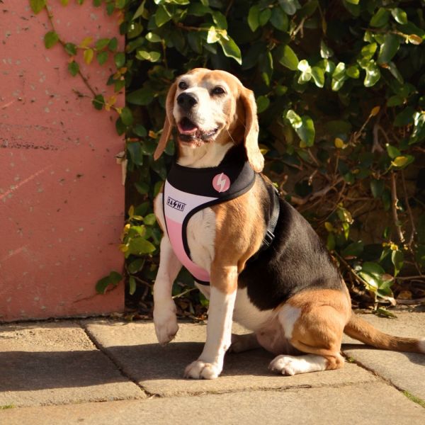 Dashi Neo Mesh Pettorina per cane modello STRIPES Pink e Black small