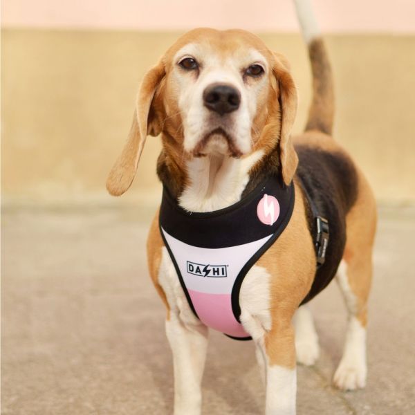 Dashi Neo Mesh Pettorina per cane modello STRIPES Pink e Black small