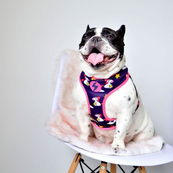 Dashi Neo Mesh Pettorina per cane modello UNICORN extra small