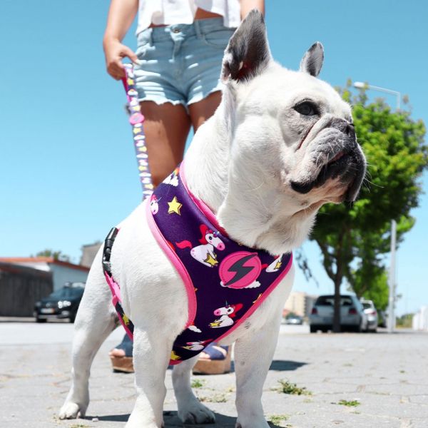 Dashi Neo Mesh Pettorina per cane modello UNICORN extra small
