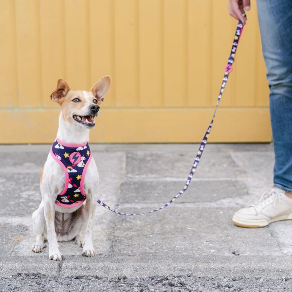 Dashi Neo Mesh Pettorina per cane modello UNICORN extra small