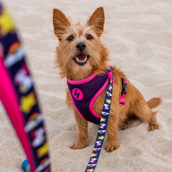 Dashi Neo Mesh Pettorina per cane modello UNICORN extra small