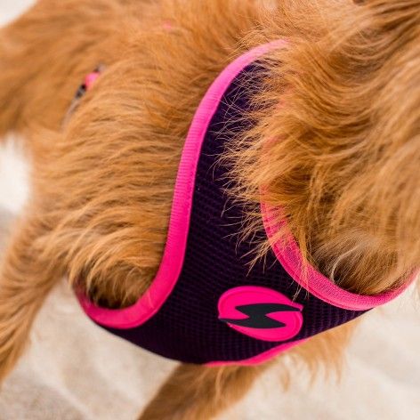 Dashi Neo Mesh Pettorina per cane modello UNICORN extra small