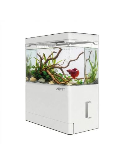 AQPet HyDo Acquario in plastica da scrivania 18x9.5x21
