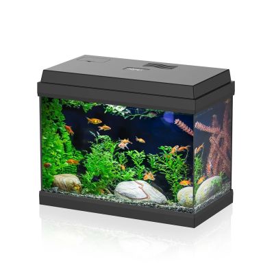 Aqpet Simply LED 30 Set Acquario Acqua Dolce Completo Di Luce LED E Filtro 30L Nero