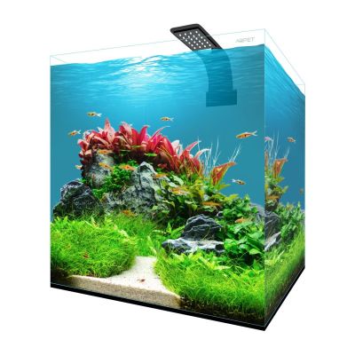 Aqpet Fresh Box 30 Acquario Completo Acqua Dolce 30x30x30h