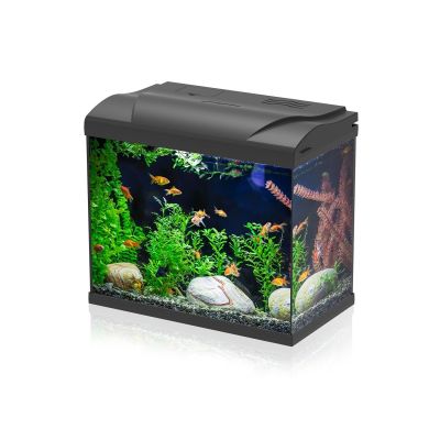 Aqpet Simply LED 30 Set Acquario Acqua Dolce Completo Di Luce LED E Filtro 30L