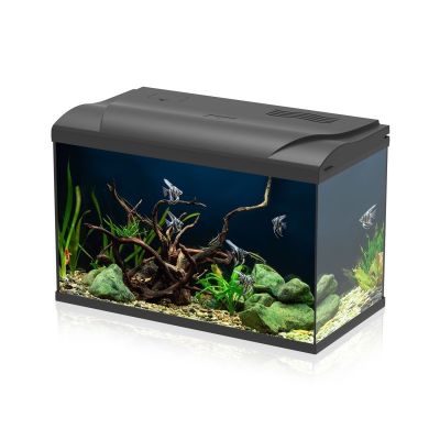 Aqpet Simply LED 60 Set Acquario Acqua Dolce Completo Di Luce LED, Filtro E Riscaldatore 60L