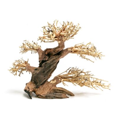 Aqpet Zen Bonsai Pine 100% naturali L