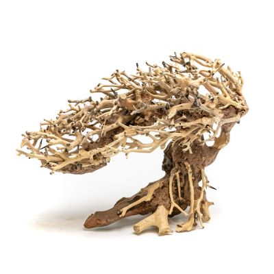 Aqpet Zen Bonsai Romantic 100% naturali S