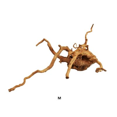 AQPet Zen Red Wood M Decorativo in Legno