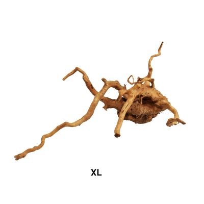 AQPet Zen Red Wood XL Decorativo in Legno