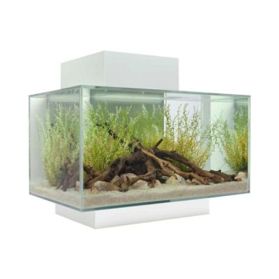 Askoll Fluval Edge 2.0 23 L Acquario-Bianco