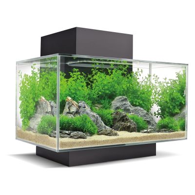 Askoll Fluval Edge 2.0 23 L Acquario-Nero