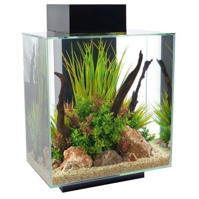 Askoll Fluval Edge 2.0 46 L Acquario-Nero