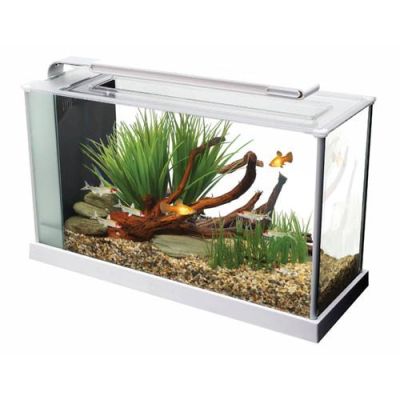 Askoll Fluval Spec 19 L Bianco Acquario