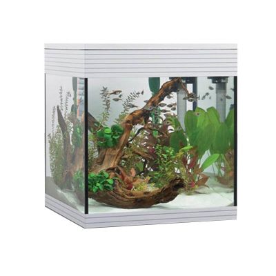 Askoll Pure Led M Acquario-Bianco
