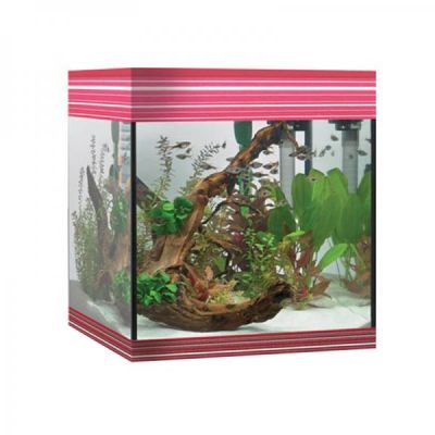 Askoll Pure Led M Acquario-Rosso