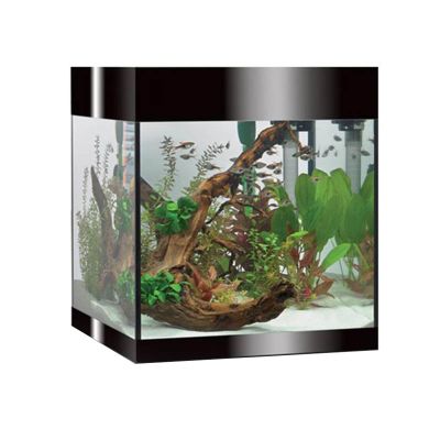 Askoll Pure Led M Acquario-Nero