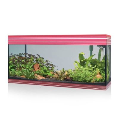 Askoll Pure Led XL Acquario-Rosso