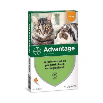 Bayer Gatto Advantage 40 4 Pipette