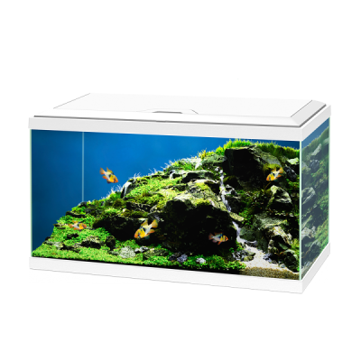 Ciano Aqua 60 Led Plus BioFilter Acquario-Bianco