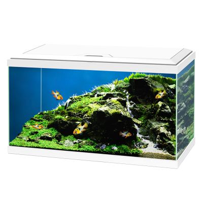 Ciano Aqua 60 Led BioFilter Bianco