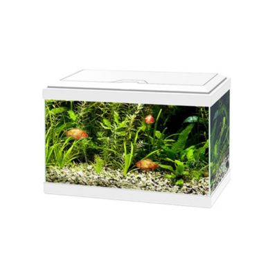 Ciano Aqua Light 20 Led Bianco