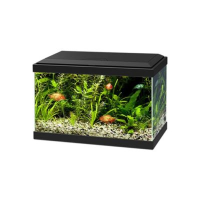 Ciano Aqua Light 20 Led Nero