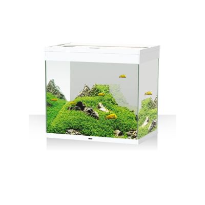 Ciano Emotions Nature Pro 60 Bianco