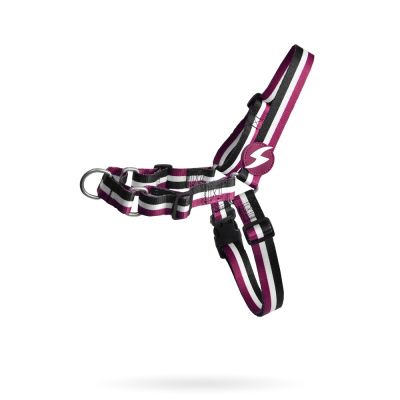 Dashi Front Harness Pettorina per cane modello STRIPES Purple e Black large